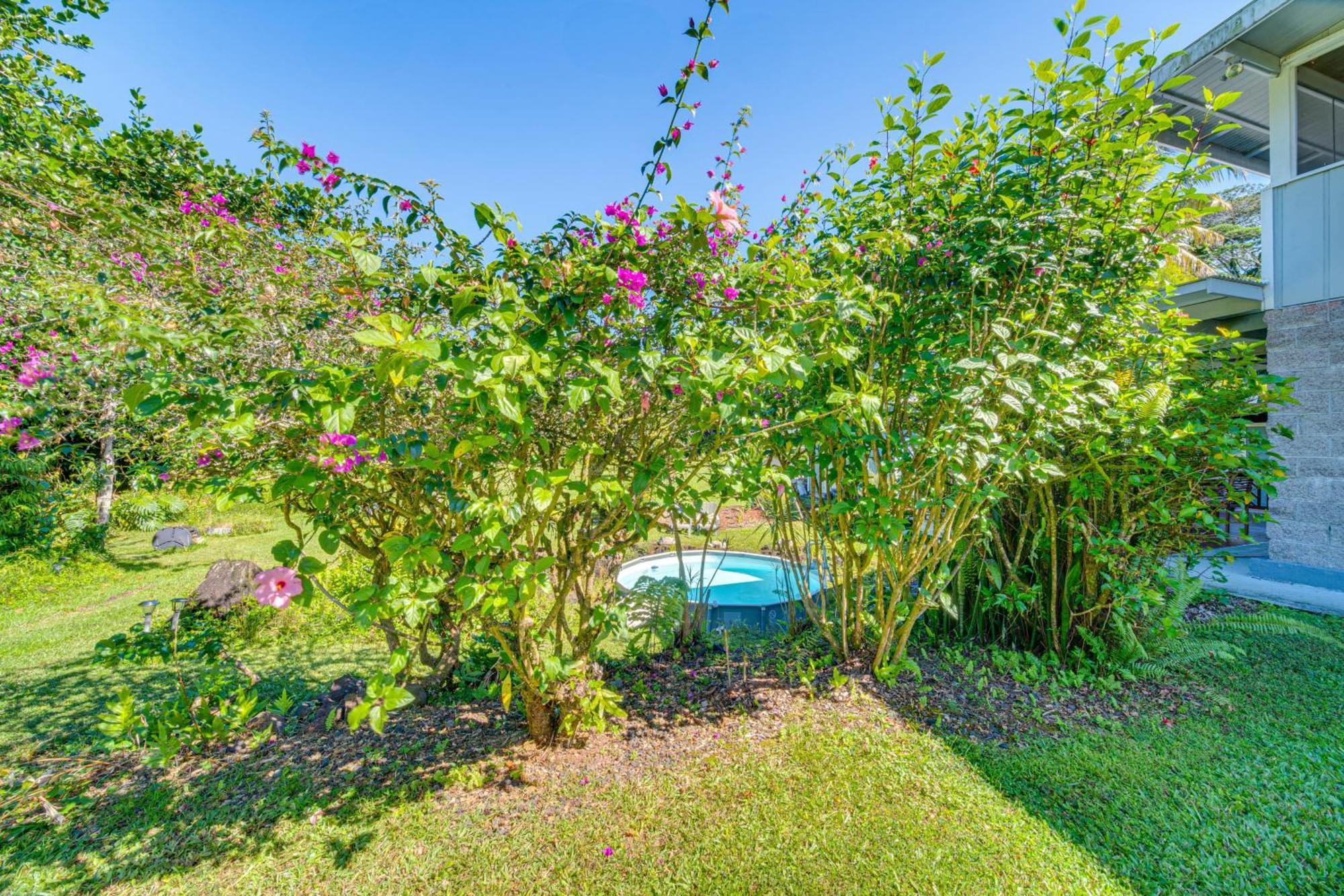 Keaau Apartment On Beautiful Acre With Pool And Deck! Eksteriør billede