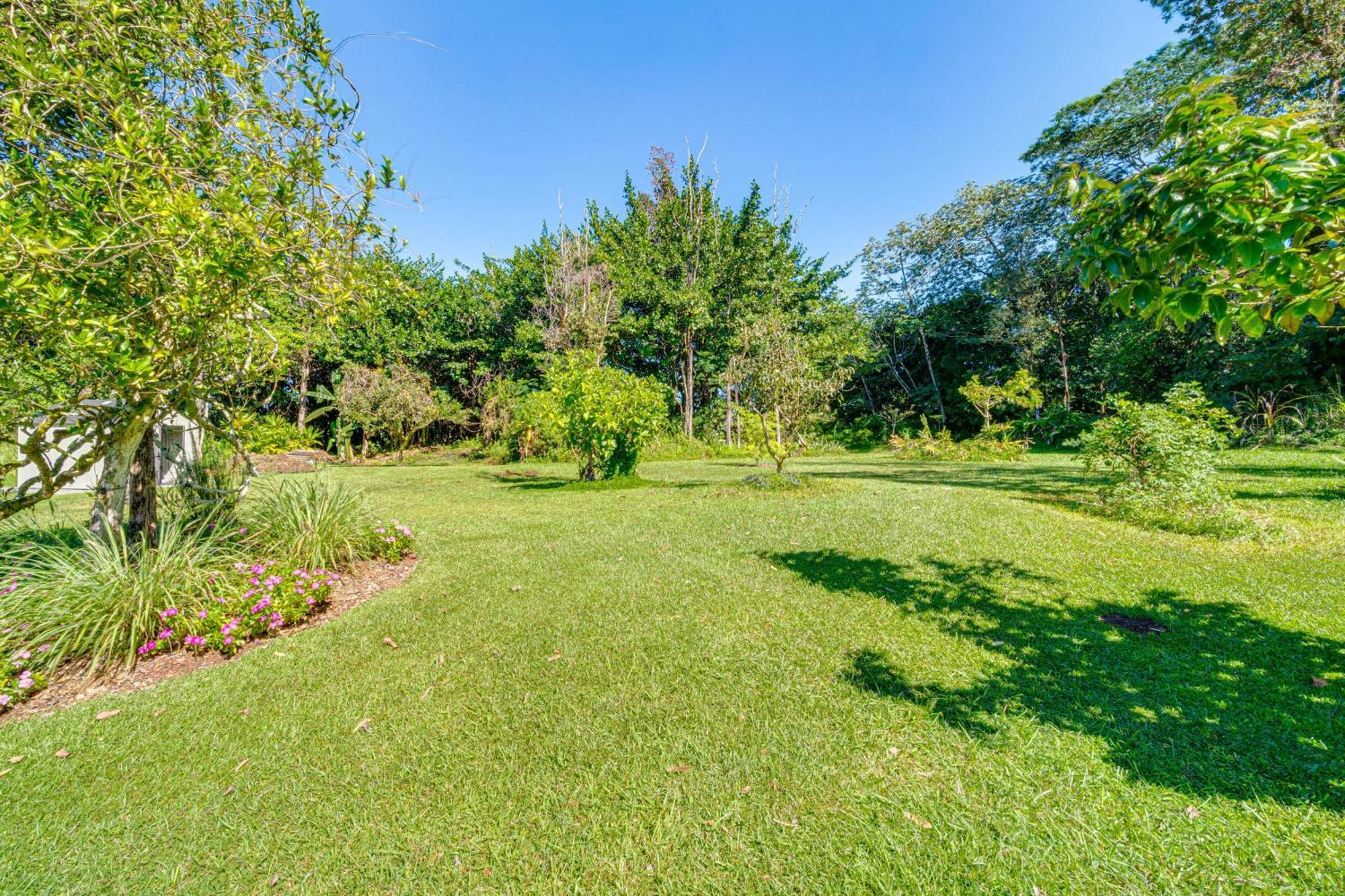 Keaau Apartment On Beautiful Acre With Pool And Deck! Eksteriør billede
